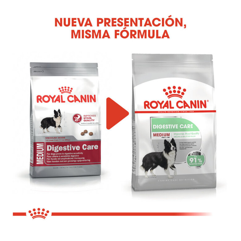 Royal Canin Digestive Care Medium pienso para perros, , large image number null